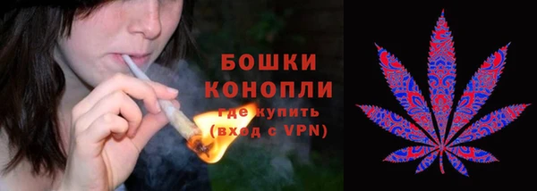 прущие грибы Богородицк