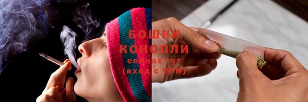 прущие грибы Богородицк