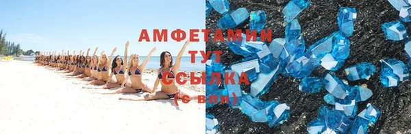 прущие грибы Богородицк