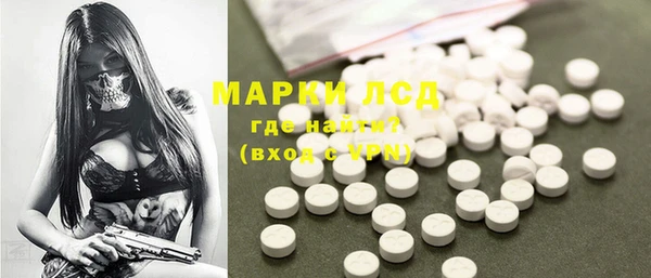 прущие грибы Богородицк